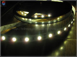 IP20 Non-Waterproof SMD 5050 LED Strip Lights