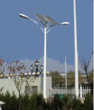 Solar LED Street Lights with Pole (SLD-SL-1042)