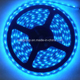 36W RGB SMD5630 LED Rope Light for Outdoor Decoration