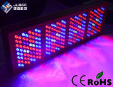 High Quality Cheap 1280W LED Grow Light Full Spectrum 1200W LED Grow Lights for Greenhouse Grow Tent Hydroponic System