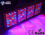 High Quality Cheap 1280W LED Grow Light Full Spectrum 1200W LED Grow Lights for Greenhouse Grow Tent Hydroponic System