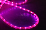 Hot Pink LED Rope Light