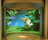 Indoor Full Color Curved LED Display