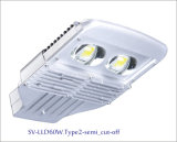 60W Bridgelux Chip High Quality LED Outdoor Light