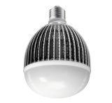 15W E27 LED Bulb Light (G100)