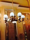Contemporary Antique Chandelier Glass Light with Flower (GY1005)