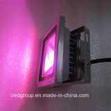10W RGB LED Flood Light, Colorful LED Down Light