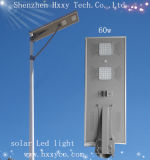 CE RoHS Certifications Hot Solar 60W Solar LED Light