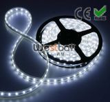 Westbay Lighting (HK) Co., Limited