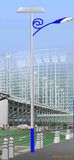 Wbr061 30W Single Lamp Solar LED Street Light