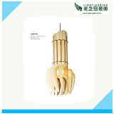 Lightingbird RoHS New Design Hanging Wood Pendant Lamp (LBMP-HJ)