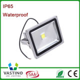 IP65 RGB Colorful LED Flood Light for Landscape Project