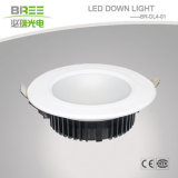 LED Down Light 15W (BR-DL4-01)