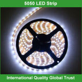 12V SMD 5050 LED Strip White Light