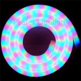 LED Neon Strip Light (PL-NS200C)