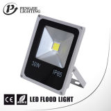 High Quality Outdoor 30W LED Flood Light with CE (IP65)
