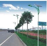 Solar LED Street Light (LB-SL36)