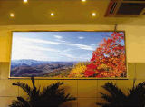 Indoor Full Color LED Display (P10)