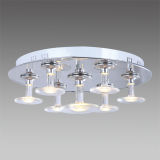 Home Decorative LED Ceiling Light