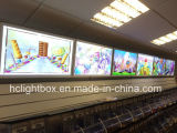 Colorful Slim Light Box with Silver Frame for Restaurant