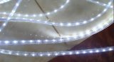 LED Strip 3014SMD LED Strip Light LED Light