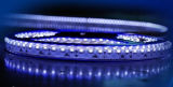 LED Waterproof SMD 335 LED Strip Light for Wholesale