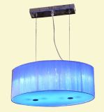 LED Ceiling Lamp / LED Light (GW 8002)