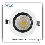 CE&RoHS Adjustable 10W LED Down Light (PL-D-AD10W-W)