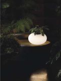 Popular Glass Bedroom Fancy Table Lamp (MT7014-400)