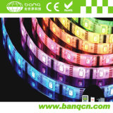 CE and RoHS Approved 5050 RGB LED Chasing Strip Lights