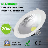 20W High Quality LED Ceiling Light (QB-H801M)