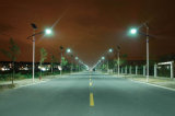 High Power LED Solar Street Lights (SLD-SL-1019)