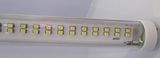 Fluorescent Lamp