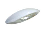 40W Induction Light for Street Light (ADS-806)
