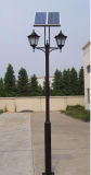 10W Solar LED Street Light (YCLG10)