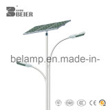 30W LED Solar Outdoor Light for Street with CE