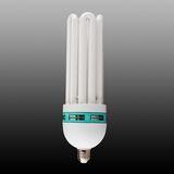 Xinchang Bornyoung Lighting Co., Ltd.