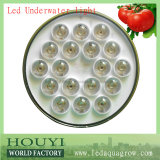 RGB LED Underwater Light PAR56&Remote Control Wireless for Changing Color (HY-P-12W (12X1W))