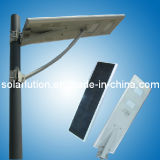 30W LED Solar Street/LED Street/Integrated Solar Light (SLLN-230)
