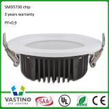 30W LED Down Light for Hotel