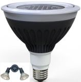 IP67 LED RGB PAR38 Spotlight with Wireless Controlled