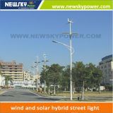 New Products LED Street Light with Solar Panel