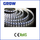 2.4W 3528SMD LED Strip Light (GR3528-30)