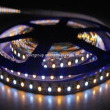 8*5000mm SMD3528 LED Flexible Strip Light IP68