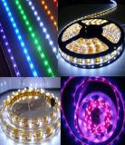 LED Strip Light / LED Christmas Light / LED Decorative Light (YJ-5W-5M-DC12V)