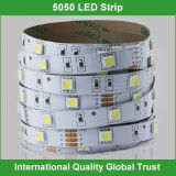 5050/3528 Non Waterproof Flexible LED Strip Light