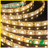 12VDC SMD5050 300LED LED Strip Light