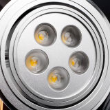 5W High Power LED Ceiling Light (YC-TH-5)