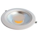 LED Down Light and LED Downlight and LED Ceiling Lamp Recessed Light (XS-DL-21W-R)