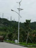 70W Solar/Wind Hybrid LED Street Solar Light